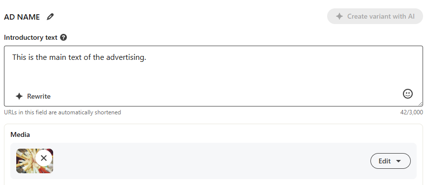 Ad design  - Text and media input